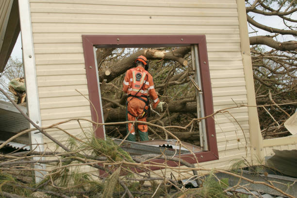 How Our Tree Care Process Works  in  Covelo, CA